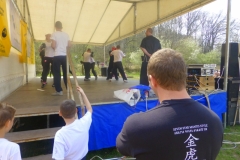 kung fu sanda