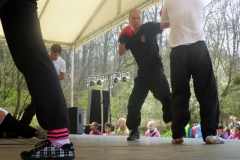 kung fu sanda