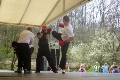 kung fu sanda